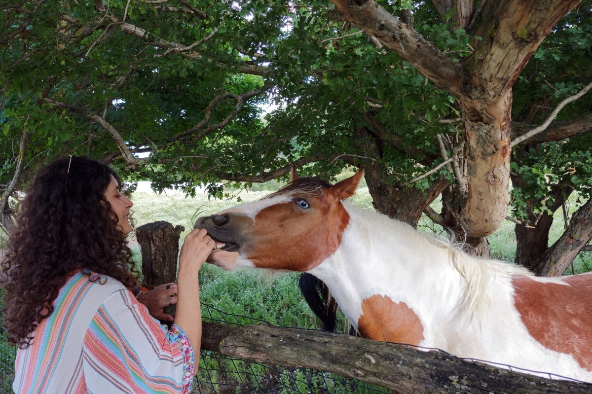 Picture of Relax at the rancho with Friends