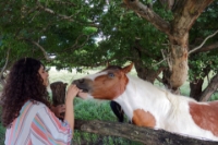 Picture of Relax at the rancho with Friends
