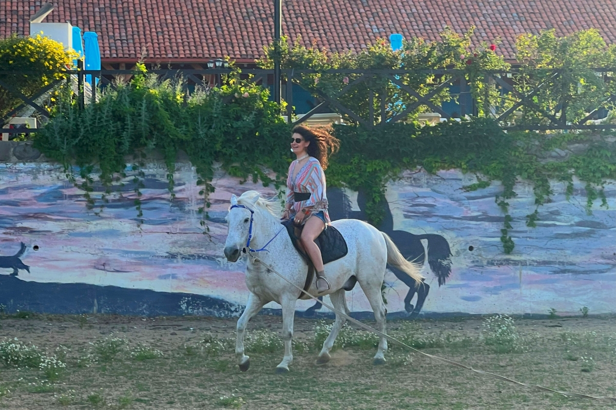 Picture of Relax at the rancho with Friends