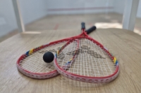 Picture of Squash: fun and intensive competition